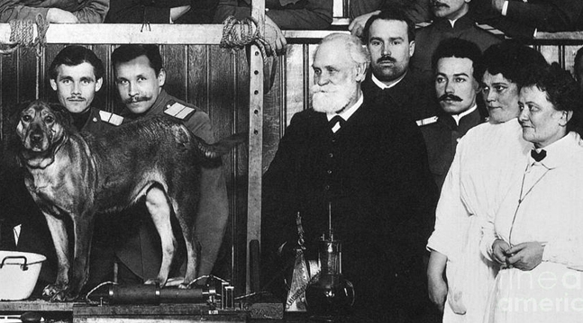 Pavlov’s Dog And The Digital Marketing Relationship